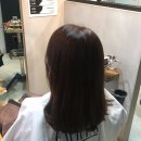 쟈르다 헤어 | [문래동 미용실] 시세이도 물톡스 클리닉 "쟈르다뷰티헤어살롱"
