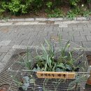 뽑아가유 이미지