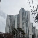 일성부동산중개 네이버블로그