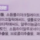 벌룬팩 네이버블로그
