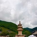 자연풍경 | 밀양 글램핑 밀양자연풍경펜션글램핑