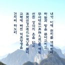 어묵천지 이미지