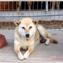 영원축산 이미지