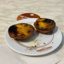 DE052 | [스페인/포르투갈] 6일차, 세비야에서 포르투갈 리스본으로! 해물밥, 체리주 진지냐, 나타