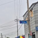 해남읍 5일 시장 주차장 | 부모님 모시고 목포 해남 1박2일 여행코스 추천