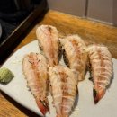 운마 | [대구 반월당 맛집] 도마29 - 반월당 유명한 연어초밥 맛집