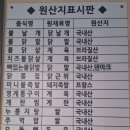 불나닭 | [대전 원신흥동] 불나닭 무뼈닭발 오돌뼈 불날개 먹은 후기