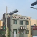 도토리 강아지 유치원 이미지