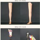 사명의수족 이미지