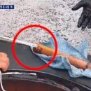 추정주유소 이미지