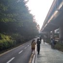 중랑천길 | 중랑천러닝 후 공릉 피자맛집 &amp; 피맥4도씨 솔직 후기