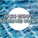 강화자동차 이미지