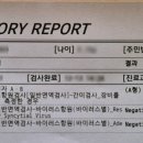 아이튼튼소아청소년과의원 네이버블로그