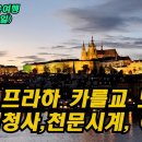 바이올린2 이미지