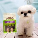 앤디스펫컴퍼니 | [WAG] 비프져키