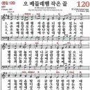 작은저골 Daum카페