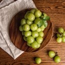 샤인메디칼 이미지