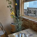 신안동3 | 광주 신안동 신상 카페 차즈카 솔직후기