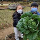 양천도시농업공원 이미지