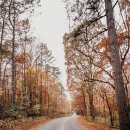 가오리역 이미지