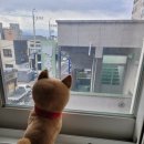 영해Y모텔 이미지