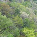 길에서(On The Road) 이미지