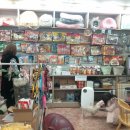 정일약국 이미지