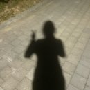 여주-0802 티스토리