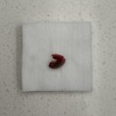 덕소동물병원 이미지