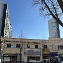 고운머리터 | 선부동미용실 아윤채크리닉 고운머리터