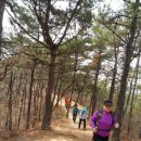 관악산길 이미지