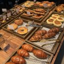 유동커피 남포 이미지