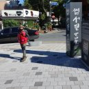 남도삼백리길(8코스) 이미지