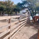 강남키즈랜드어린이집 | 아기랑 다녀온 고양 쥬쥬랜드 후기 / 체험형 키즈카페 완벽정리!