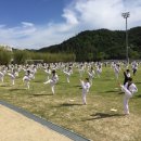 혜성태권도 이미지