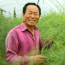 신흥농장 이미지