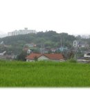 맑은2태양광발전소 이미지