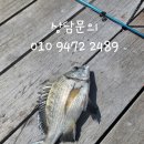 여수가족생활낚시터 이미지