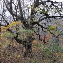 방동약수 이미지