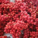 남송농장 이미지