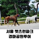 한국마사회 서울부속동물병원 | 서울 경마공원 투어 : 버스타고 말과 함께 한 하루 (예약, 기타 팁)