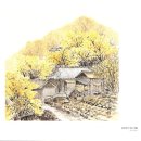 호당 Daum카페