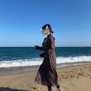 양양 캠프 발리별 이미지