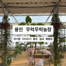 한돌농장 네이버블로그