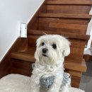 구방리518 이미지