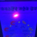 락시클럽 이미지