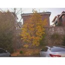 영등포중학교 이미지