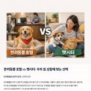 우리아이 어린이집 시설 경계 10미터 | 반려동물 호텔 vs 펫시터: 우리 집 상황에 맞는 선택