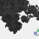 반포대로24길 21 (1) 이미지