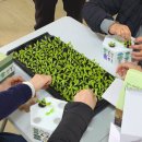 유니농장 | 울산 언양 쌈채소(상추) 스마트팜 &#39;유니스퀘어&#39; 현장 견학 후기